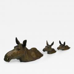 Tom Hjorleifson Swim Lessons - 4337817