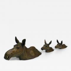 Tom Hjorleifson Swim Lessons - 4491092