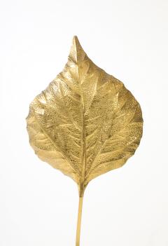 Tomasso Barbi Italian Rabarbaro Brass Leaf Floor Lamp Bottega Gadda 1970s - 4515989