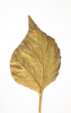 Tomasso Barbi Italian Rabarbaro Brass Leaf Floor Lamp Bottega Gadda 1970s - 4515990