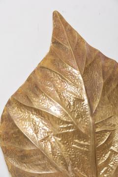 Tommaso Barbi 1 of 4 Huge Rhaburb Leaf Brass Wall Lights or Sconces by Tommaso Barbi - 1050671