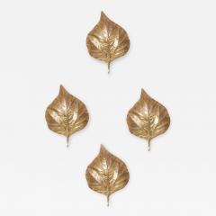 Tommaso Barbi 1 of 4 Huge Rhaburb Leaf Brass Wall Lights or Sconces by Tommaso Barbi - 1050859