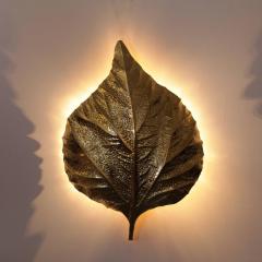 Tommaso Barbi 1 of 4 Huge Rhubarb Leaf Brass Wall Lights or Sconces by Tommaso Barbi - 533853