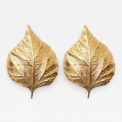 Tommaso Barbi 1 of 4 Huge Rhubarb Leaf Brass Wall Lights or Sconces by Tommaso Barbi - 534493