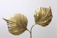 Tommaso Barbi Huge Two Rhubarb Leaves Brass Floor Lamp by Tommaso Barbi - 547703