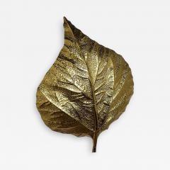 Tommaso Barbi Rabarbaro Sconce by Carlo Giorgi for Bottega Gadda - 787034