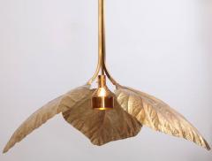 Tommaso Barbi Rare Huge Rhubarb Leaf Brass Chandelier by Tommaso Barbi - 551480