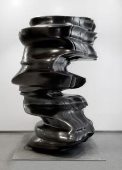 Tony Cragg 3 D Incident 2007 - 2860872
