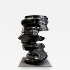 Tony Cragg 3 D Incident 2007 - 2863769