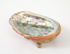 Tony Duquette XL Abalone Shell Vide Poche Tony Duquette - 4546332