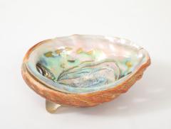 Tony Duquette XL Abalone Shell Vide Poche Tony Duquette - 4546333