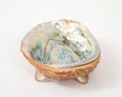 Tony Duquette XL Abalone Shell Vide Poche Tony Duquette - 4546335