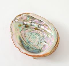 Tony Duquette XL Abalone Shell Vide Poche Tony Duquette - 4546336