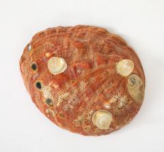 Tony Duquette XL Abalone Shell Vide Poche Tony Duquette - 4546337