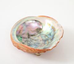 Tony Duquette XL Abalone Shell Vide Poche Tony Duquette - 4546338