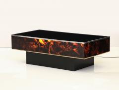 Tortoise Lucite Cocktail Table with Inerior Lights France 1970s - 3333887