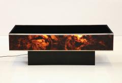 Tortoise Lucite Cocktail Table with Inerior Lights France 1970s - 3333890
