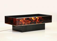Tortoise Lucite Cocktail Table with Inerior Lights France 1970s - 3333891