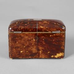 Tortoise Shell Tea Caddy - 225240