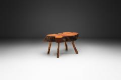 Tree Trunk Coffee Table with Branch Legs Europe ca 1970s - 4556152