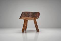 Tree Trunk Coffee Table with Branch Legs Europe ca 1970s - 4556156