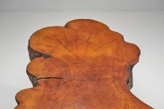 Tree Trunk Coffee Table with Branch Legs Europe ca 1970s - 4556160