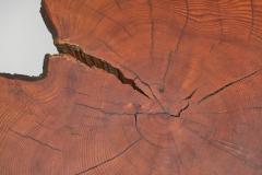 Tree Trunk Coffee Table with Branch Legs Europe ca 1970s - 4556162