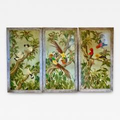 Triptych Paintings of Tropical Birds Parrots - 4015290