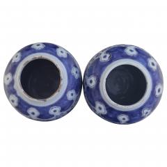 Two 17th century Dutch Delft Lotus Jars - 4565701