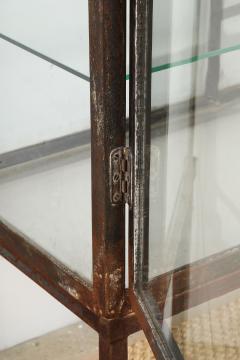 Two Door glass and Iron Vitrine - 3724629