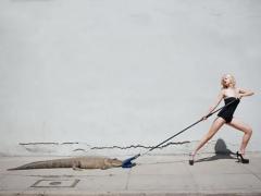 Tyler Shields Tyler Shields Birkin Tug Of War 2012 - 3308940