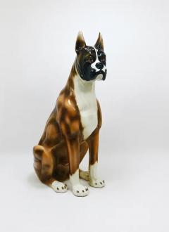 Ugo Zaccagnini Boxer Dog Life Size Majolica Statue Sculpture Glazed Ceramic Italy 1970s - 4066984