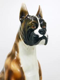 Ugo Zaccagnini Boxer Dog Life Size Majolica Statue Sculpture Glazed Ceramic Italy 1970s - 4067070