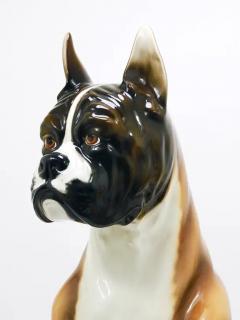 Ugo Zaccagnini Boxer Dog Life Size Majolica Statue Sculpture Glazed Ceramic Italy 1970s - 4067072