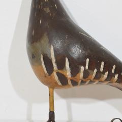 Unique 19th Century French Shop Sign with a Grouse - 4109165