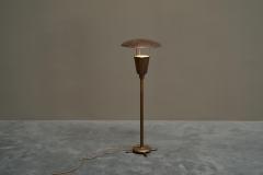 Unique Floor Lamp in Patinated Copper 1960s - 4395733