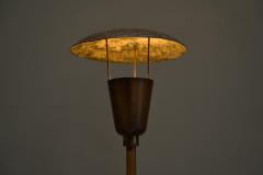 Unique Floor Lamp in Patinated Copper 1960s - 4395868