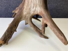 Unique Vintage Large Driftwood or Root Wood Large Table Lamp Mid Century Mod - 2618054