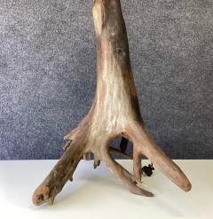 Unique Vintage Large Driftwood or Root Wood Large Table Lamp Mid Century Mod - 2618057
