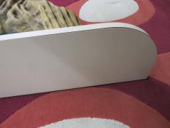 Unusual Saguaro Cactus Skeleton Fiberglass Mirror Shelf Midcentury - 1550570