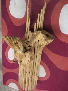 Unusual Saguaro Cactus Skeleton Fiberglass Mirror Shelf Midcentury - 1550574