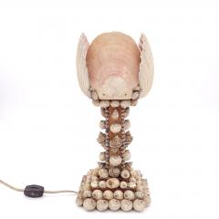 Unusual Shell Lamp circa 1950 Probably Hawaii - 2492035