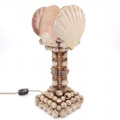 Unusual Shell Lamp circa 1950 Probably Hawaii - 2492039