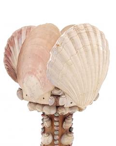 Unusual Shell Lamp circa 1950 Probably Hawaii - 2492040