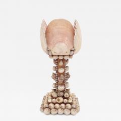 Unusual Shell Lamp circa 1950 Probably Hawaii - 2493060