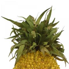 Urn With Dried Flower Pineapple Arrangement - 4197436