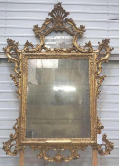 Venetian Mirror with Mercury Glass - 780479