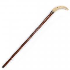 Very Fine Carved Bird Head Antique Walking Stick Cane - 4502621