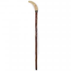 Very Fine Carved Bird Head Antique Walking Stick Cane - 4502622