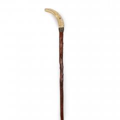 Very Fine Carved Bird Head Antique Walking Stick Cane - 4502623